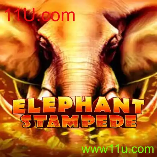 ElephantStampede